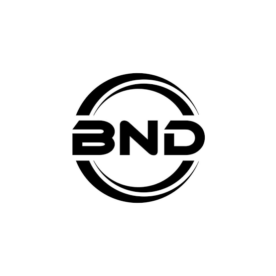 bng logo
